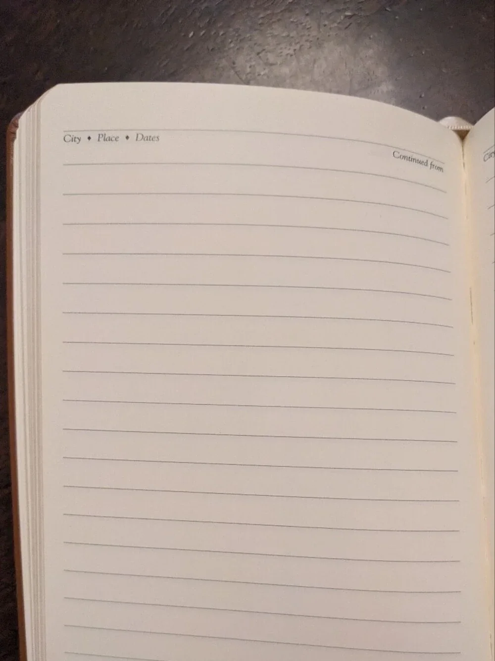 Vintage Travel Journal